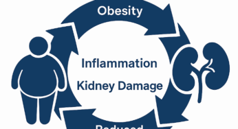 Do Kidney Disease Patients Need to Diet?